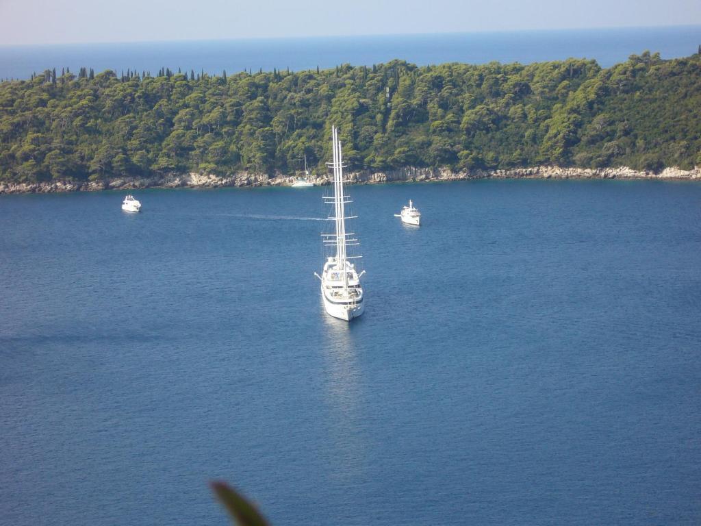 Apartment Viola Dubrovnik Dış mekan fotoğraf